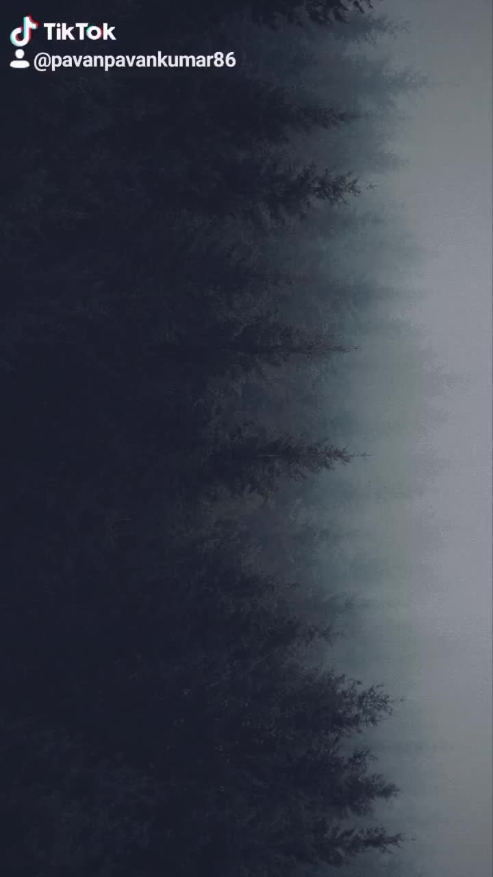 @user4369707755315