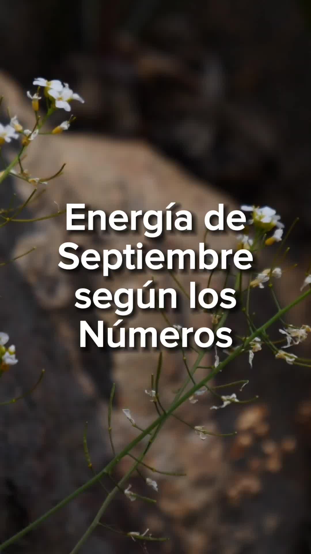 @numerosescenciales