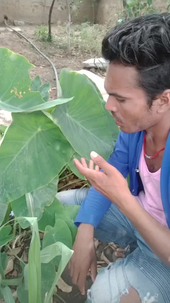 @Durgesh Kumar