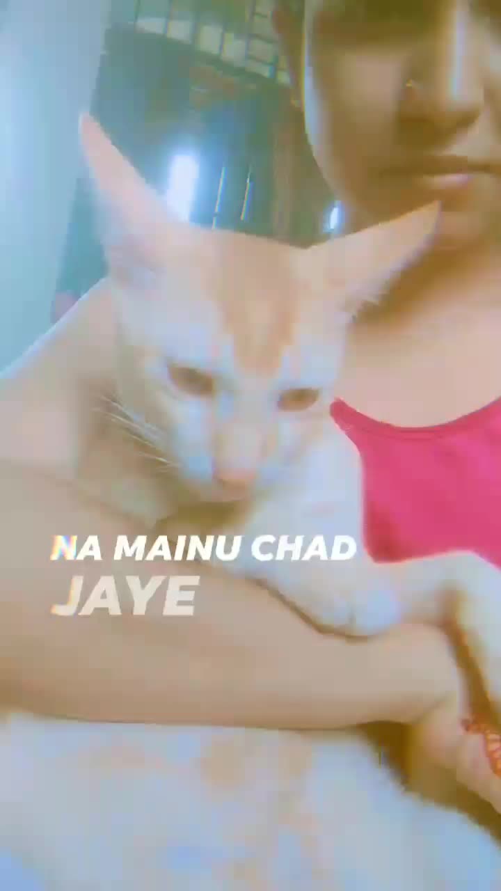 @MITU