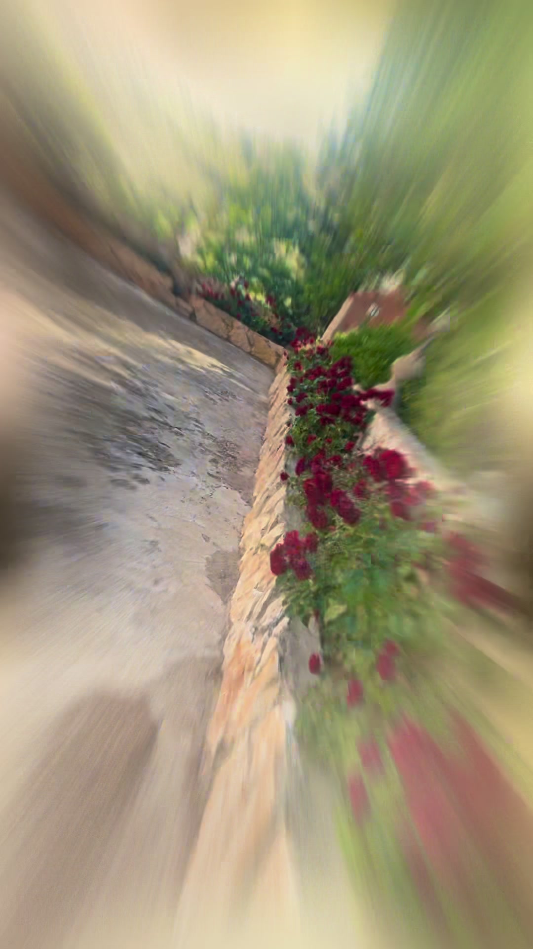 @S A A E R
