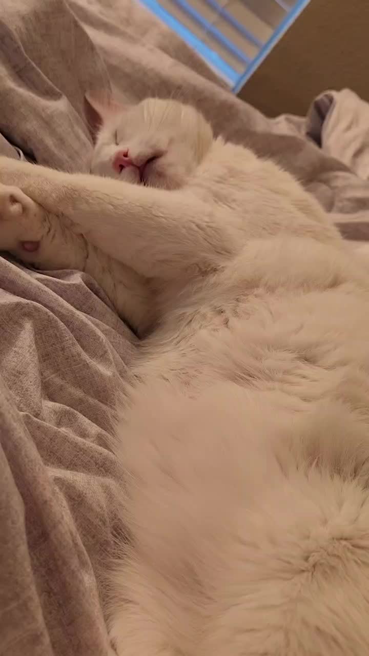 @❤️✨️jax✨️❤️