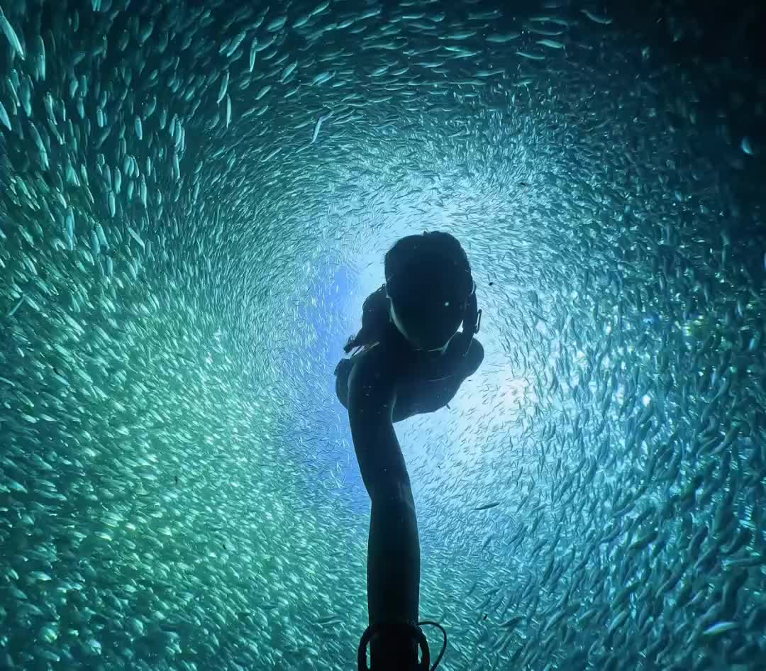 @sustainablesurf