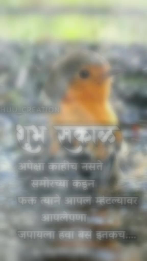 @bhaskaraiwale48