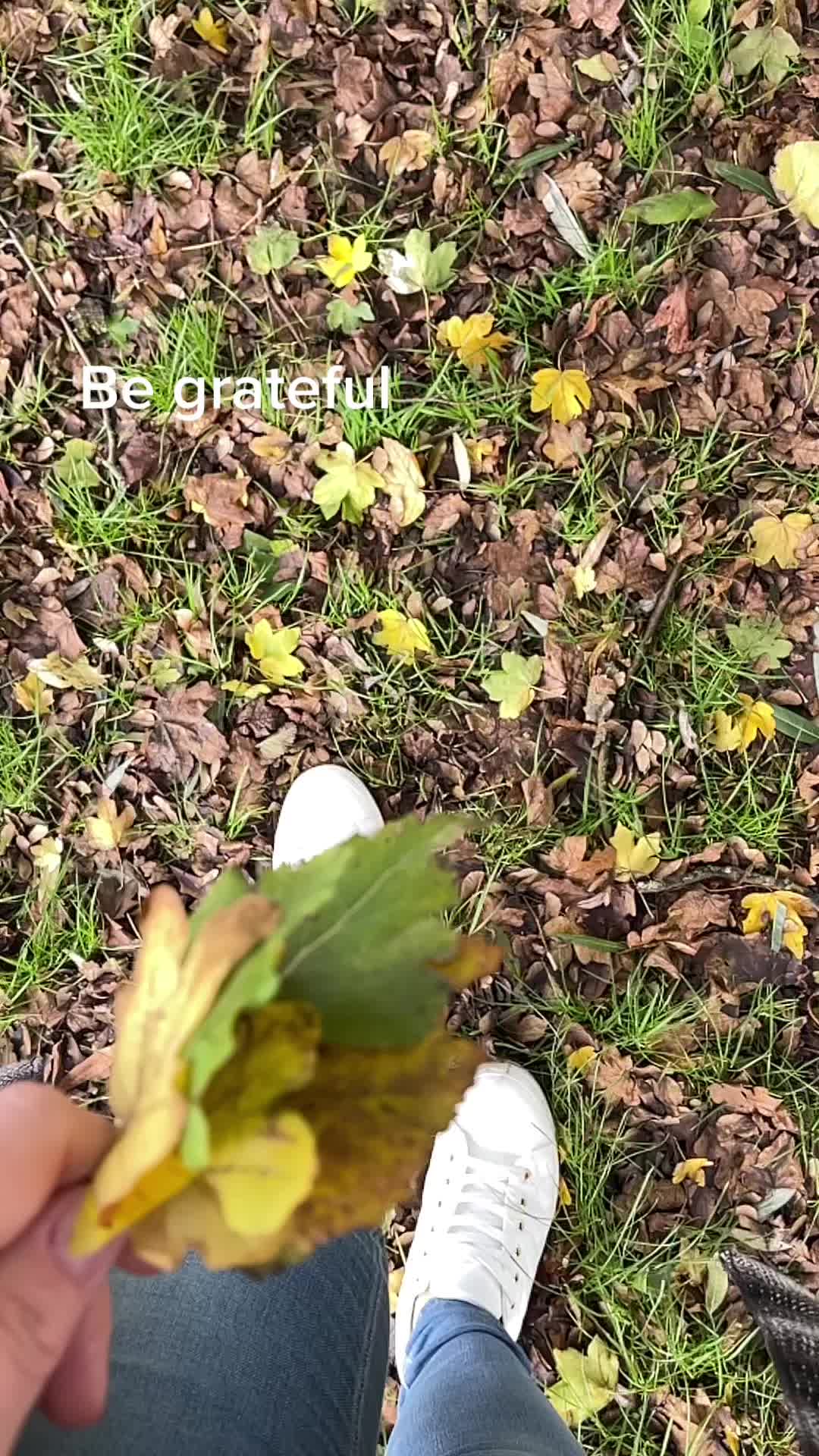 @ewelinazelek505