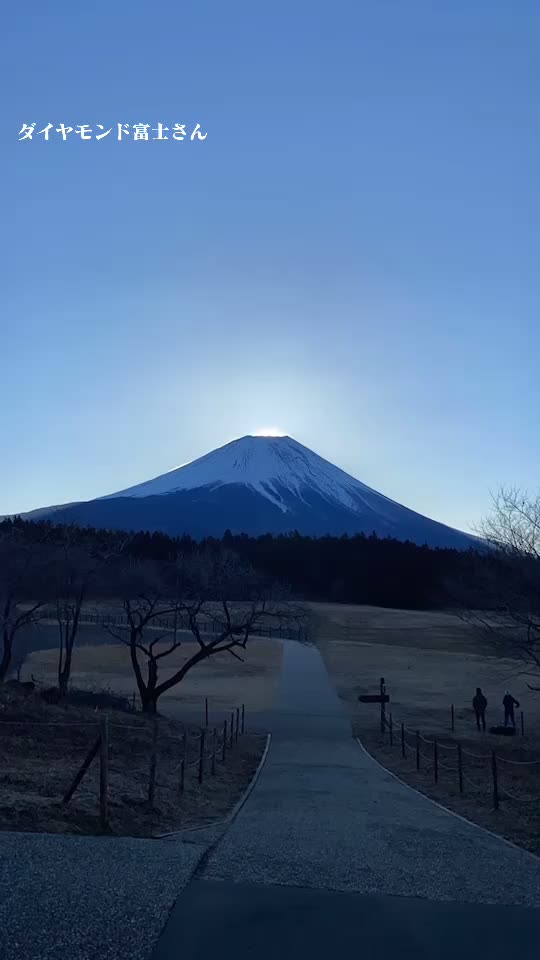 @masahiro