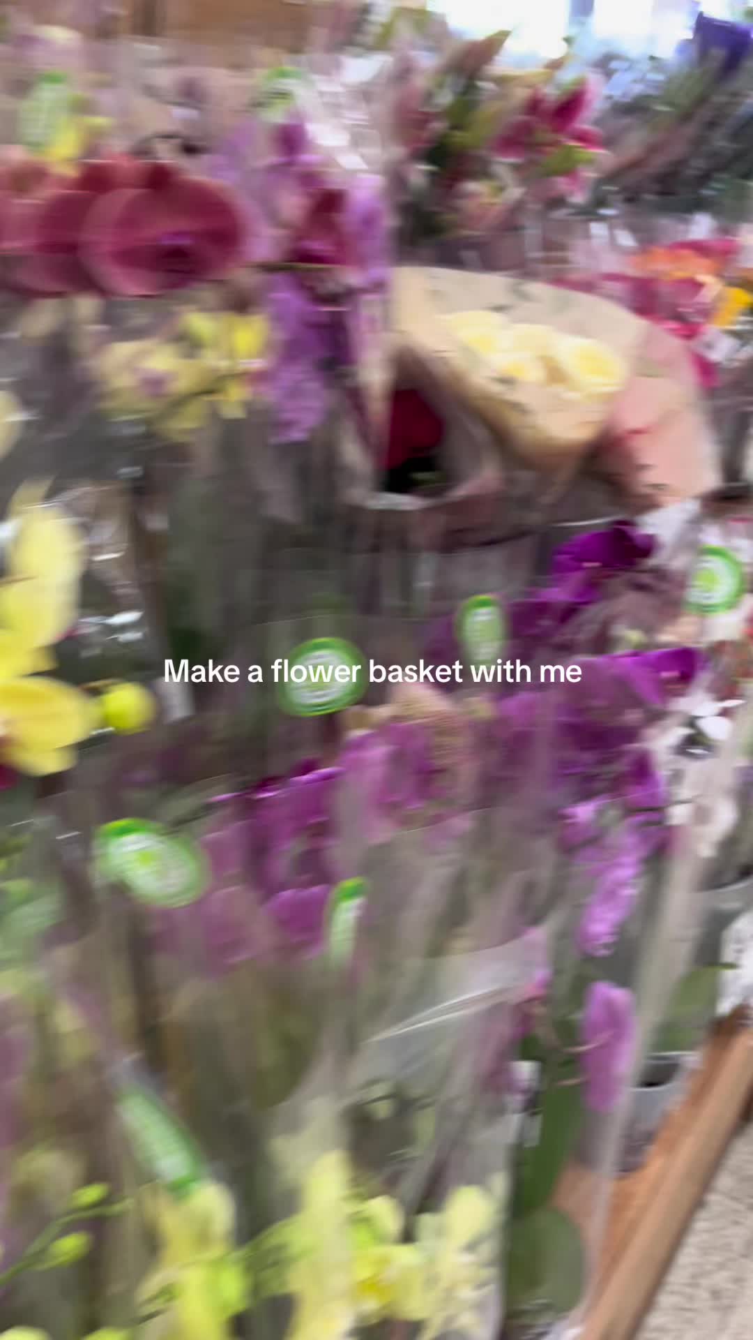 @BelleFlores