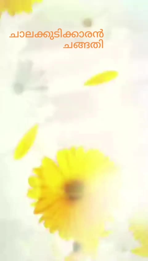 @AneesH.