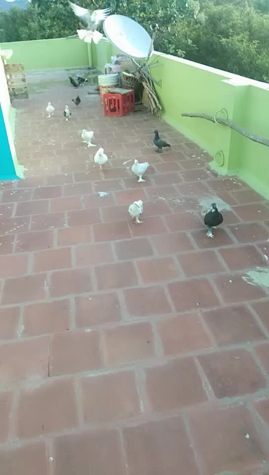 @Kanaga Raj