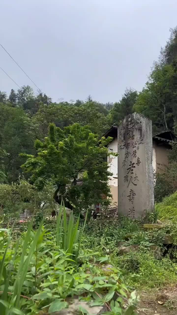 @逸明荒野探墓