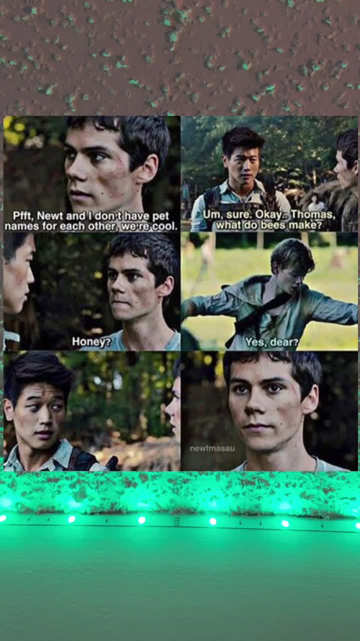 @Maze runner