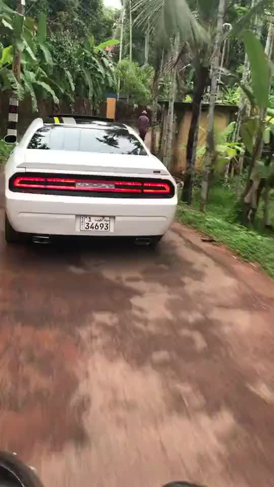 @kasimbasthi
