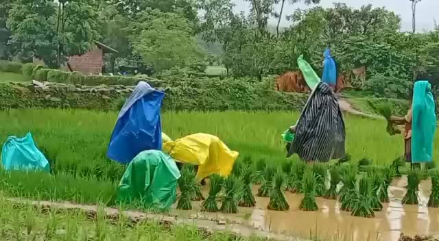 @ಕನ್ನಡತಿ ಕಾವ್ಯ