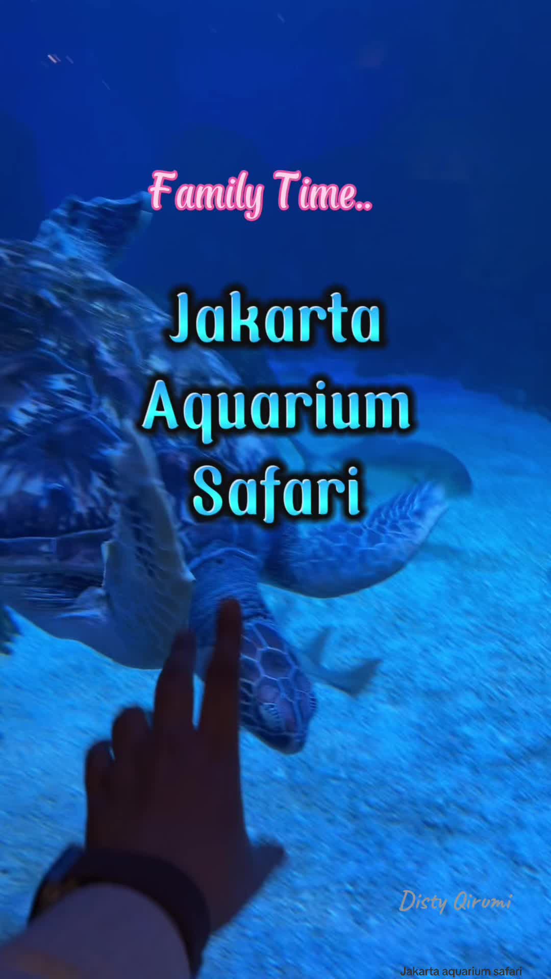 @Disty_Qirumi