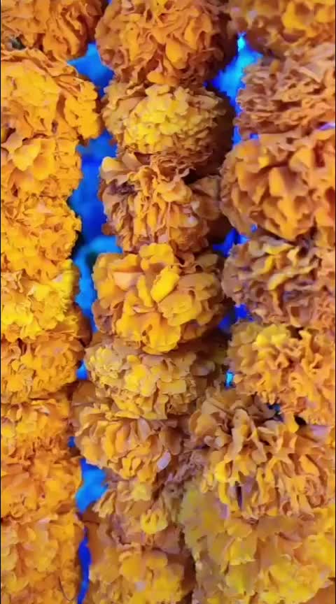 @user60570118231