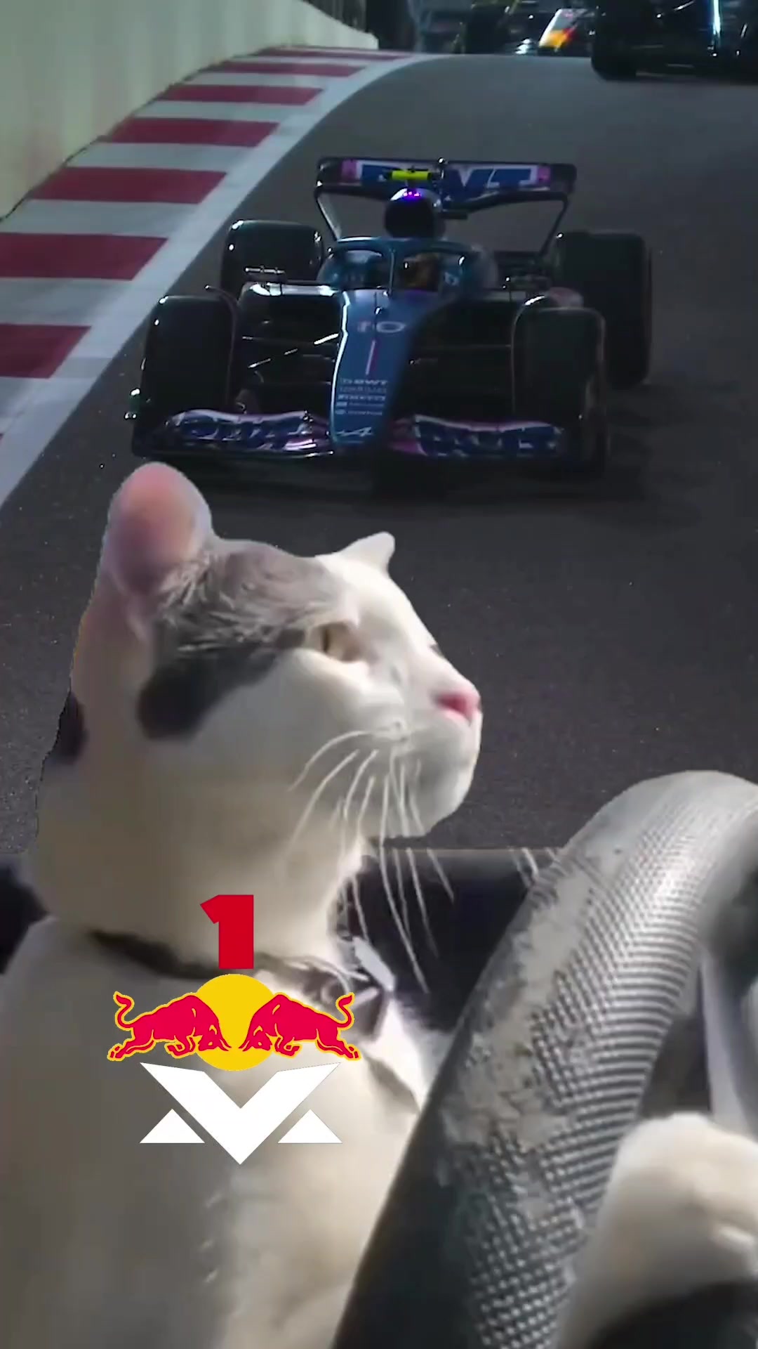 @Damien F1 🏎