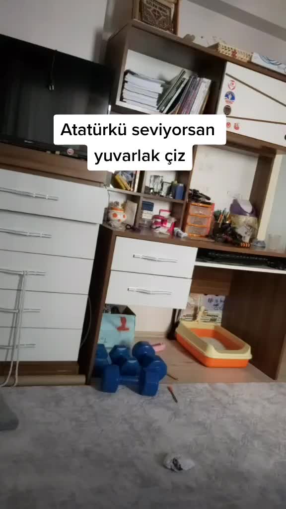 @Sarı bir kedi
