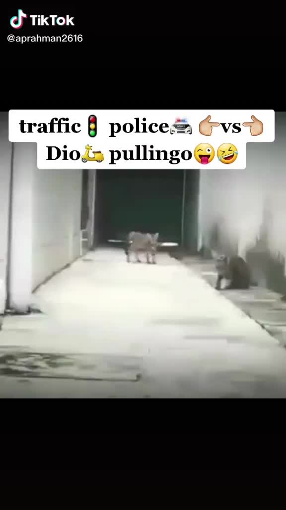 @ThE DEvIL KinG