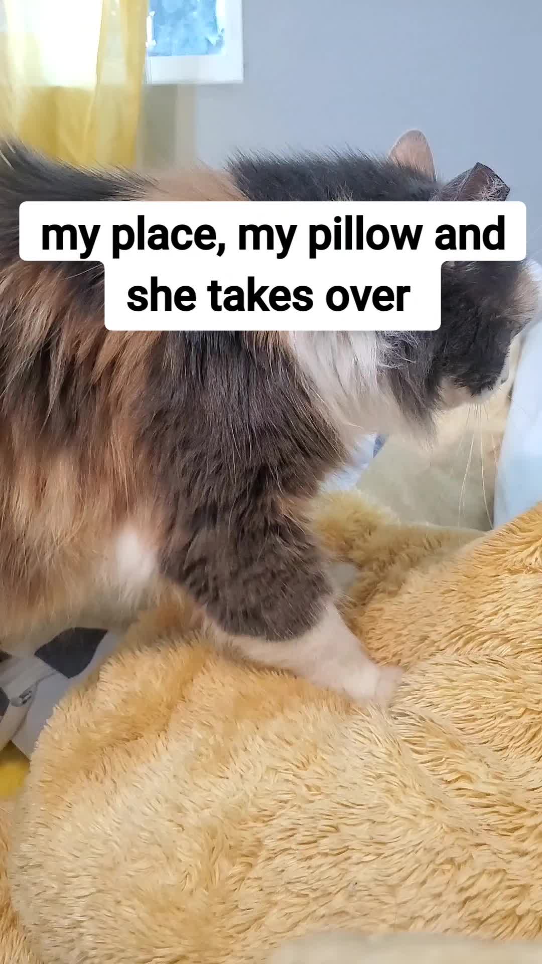 @Lily