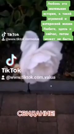 @Валентина