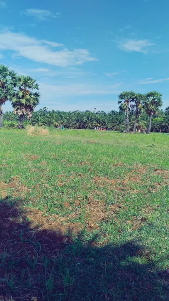 @kolli.simhadri6855