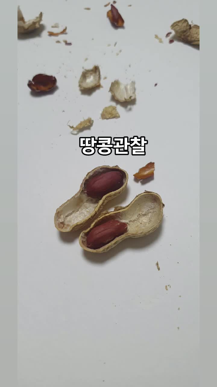 @로켓마미