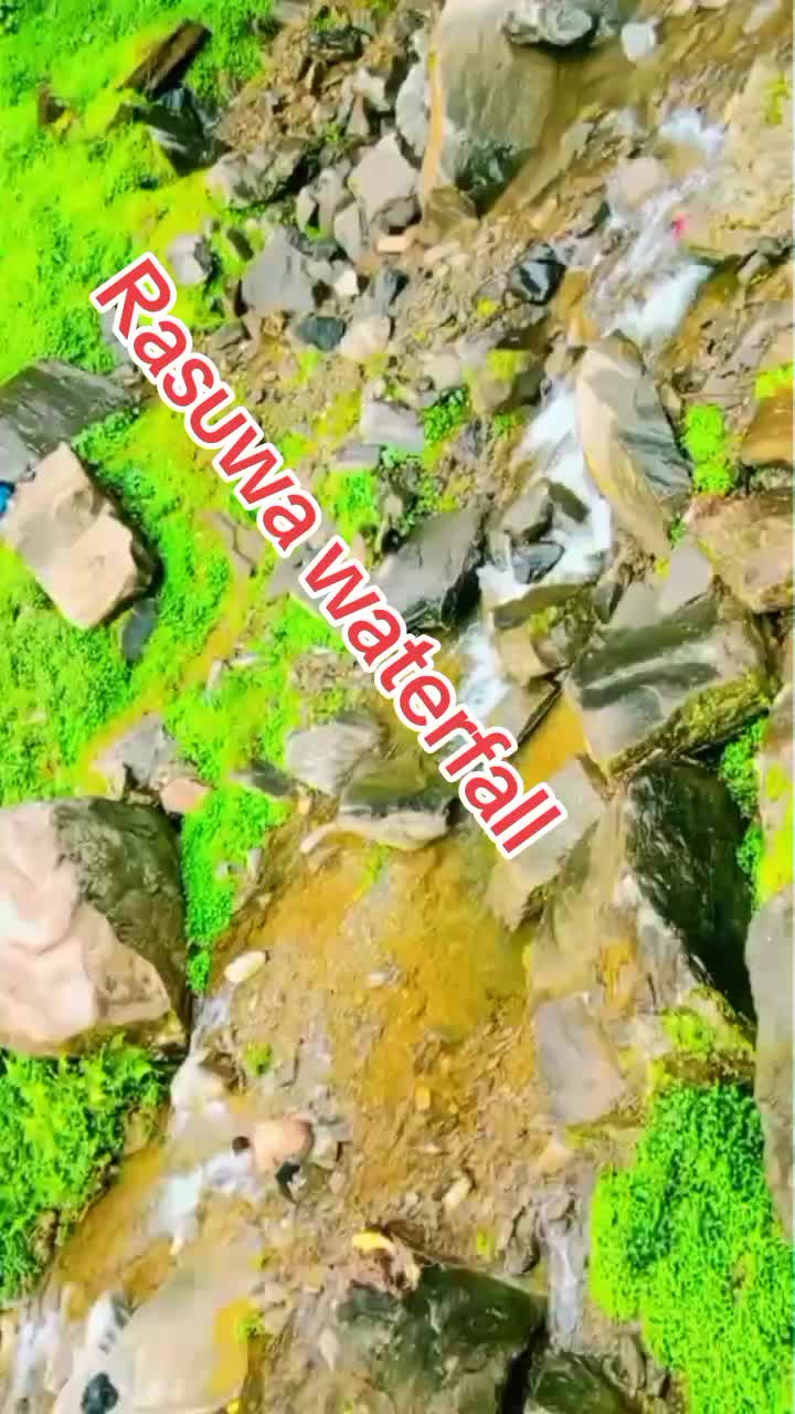 @krishnalama