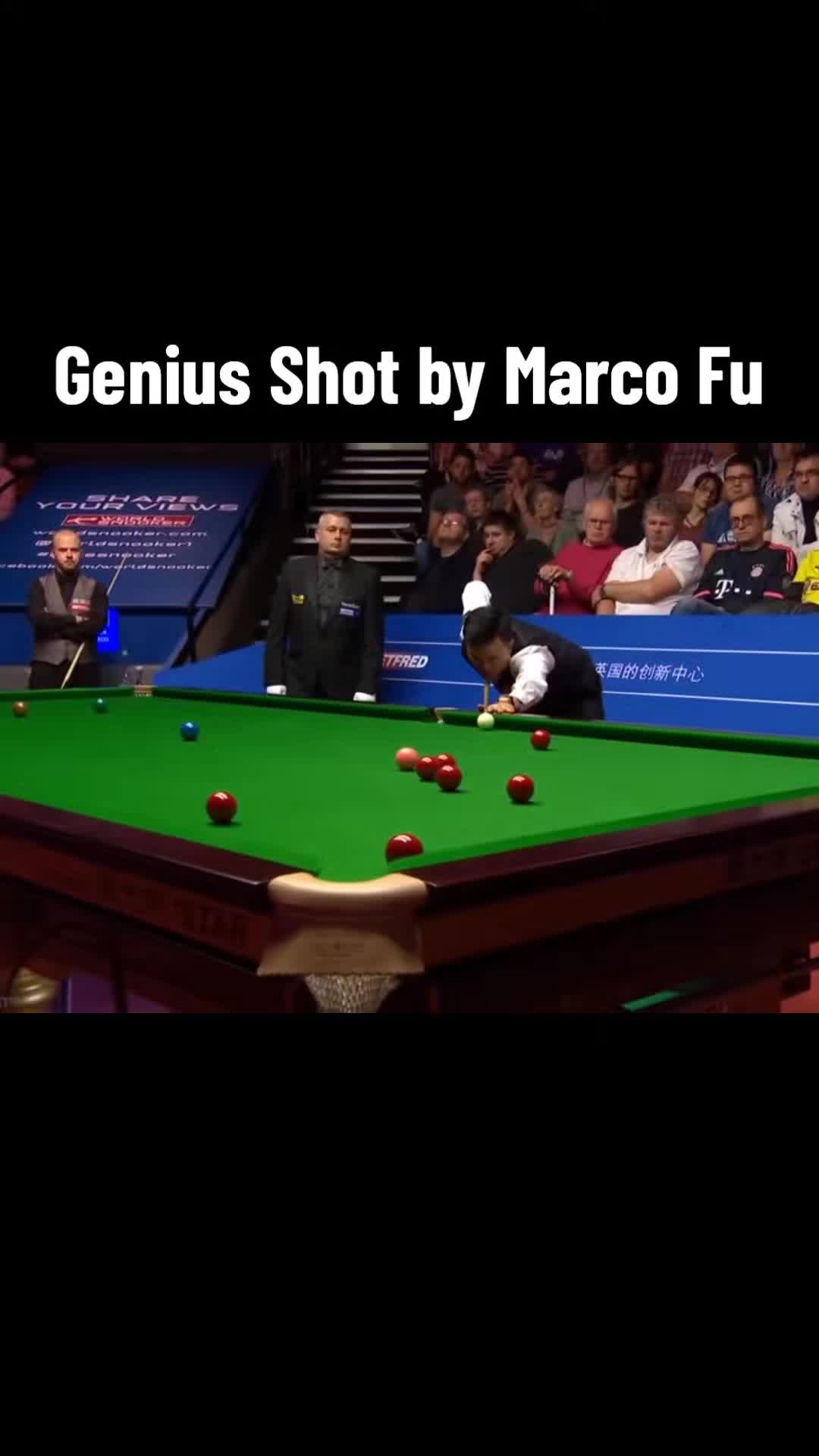 @therealsnookerking