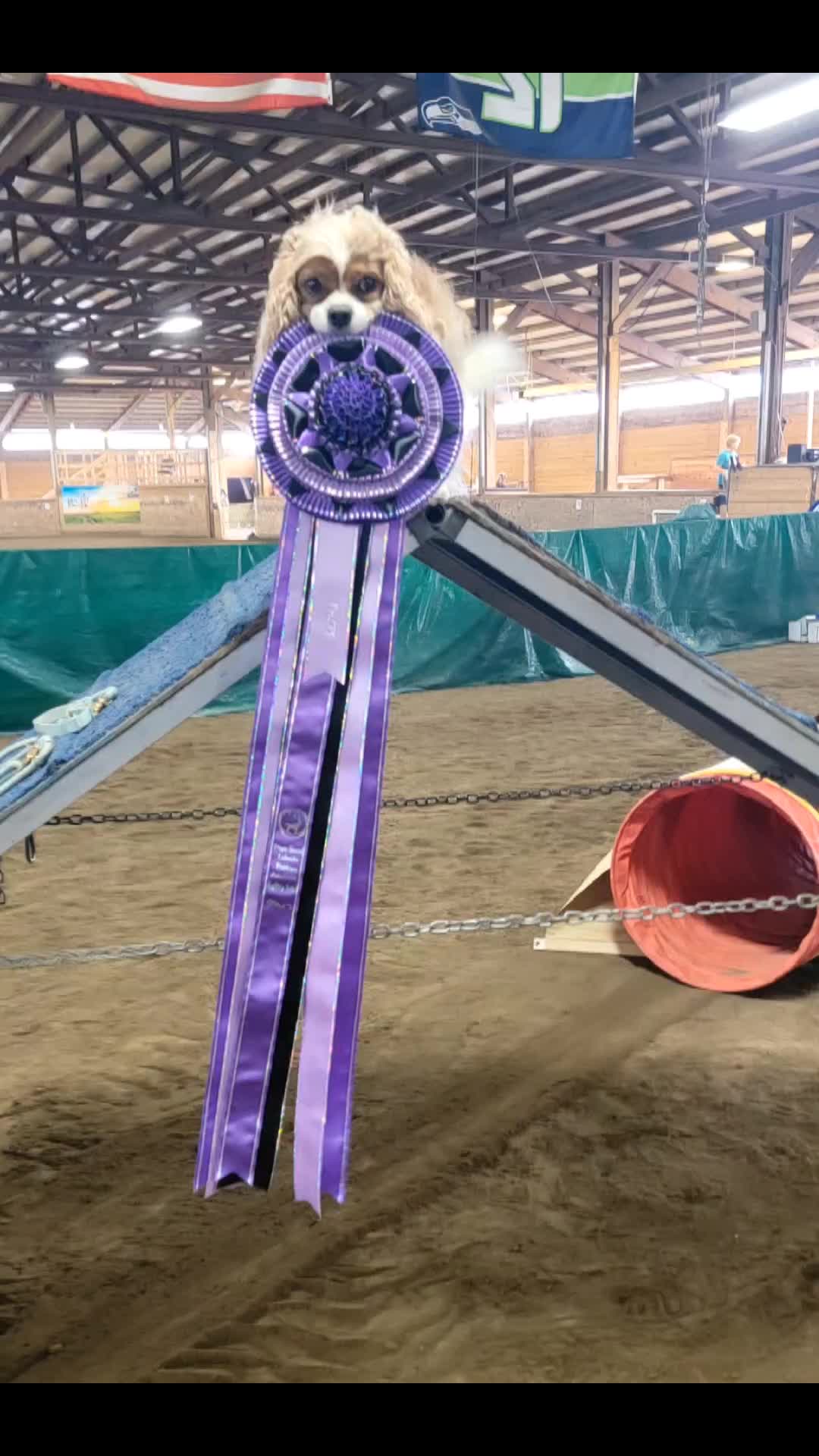 @PNW Cavaliers