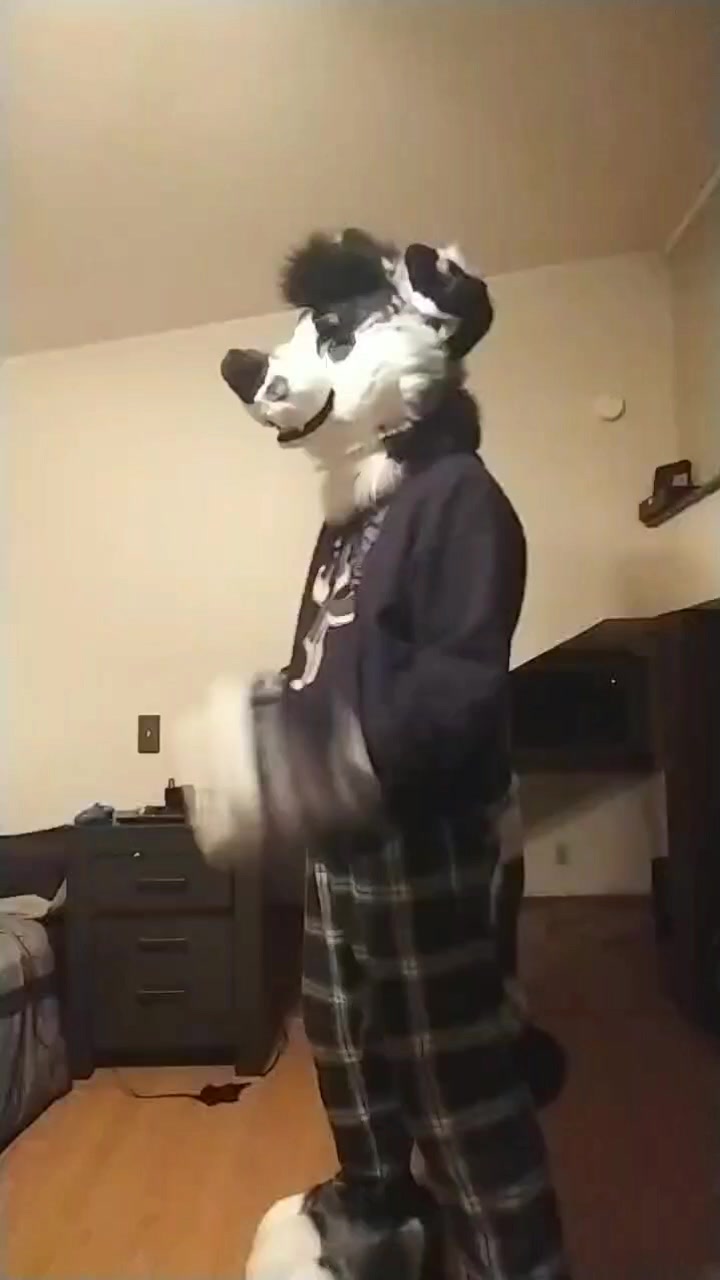 @Ryker_Mutt
