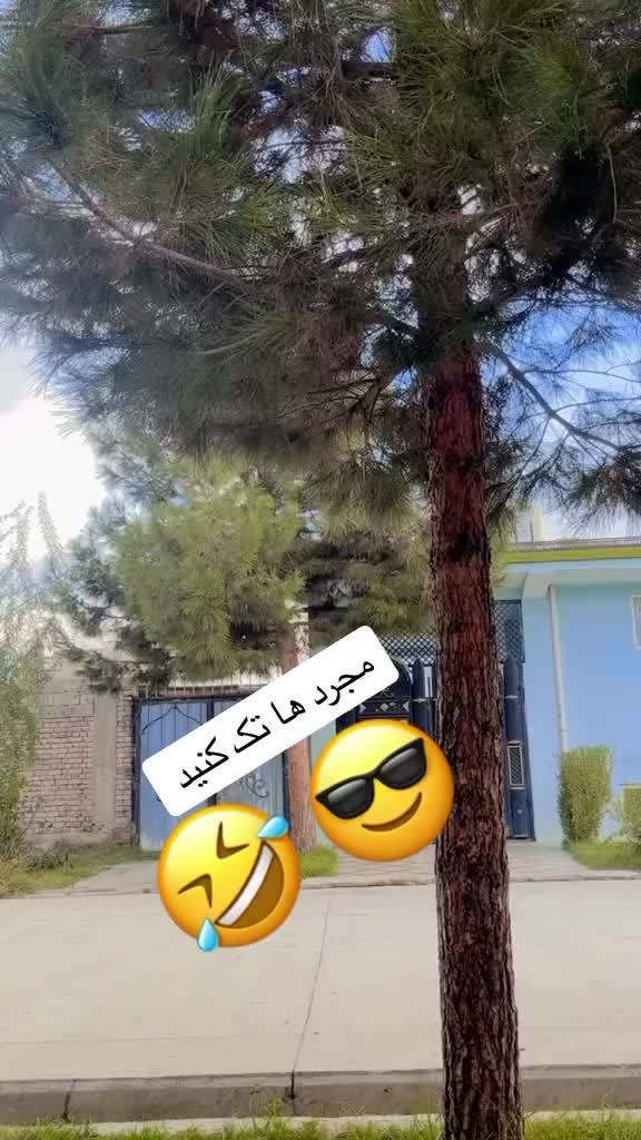 @zalshar66