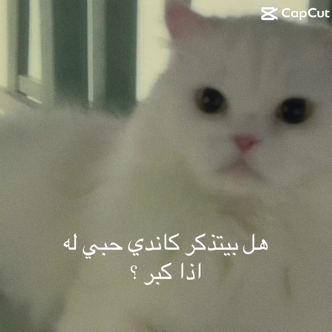 @user39556571203