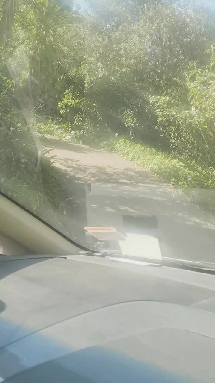 @Courier Driver in Paradise