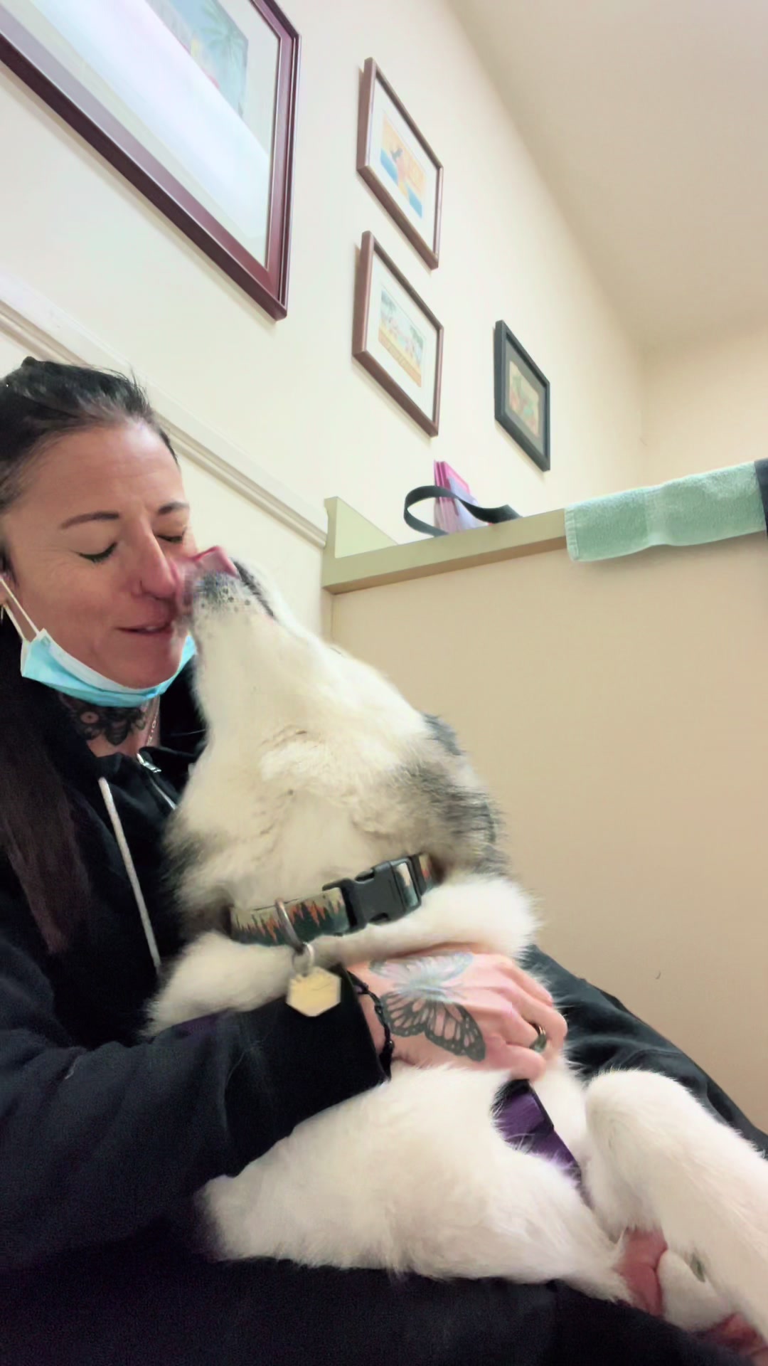 @Elite Pet Dental