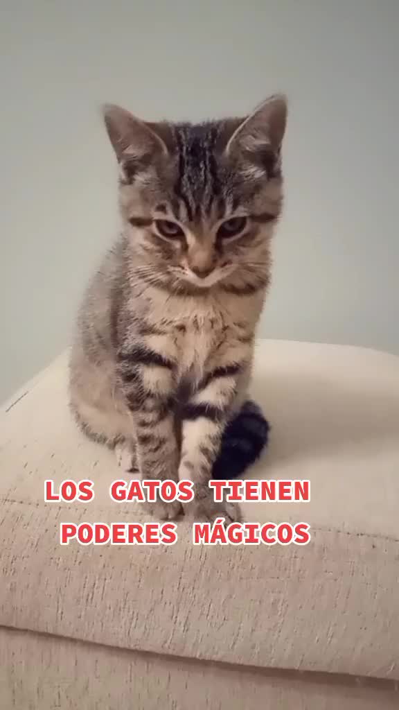@Rosi Ramos