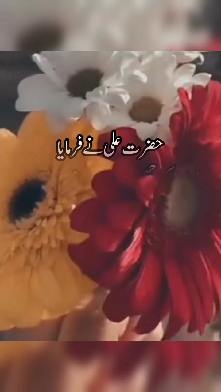 @Kanwal