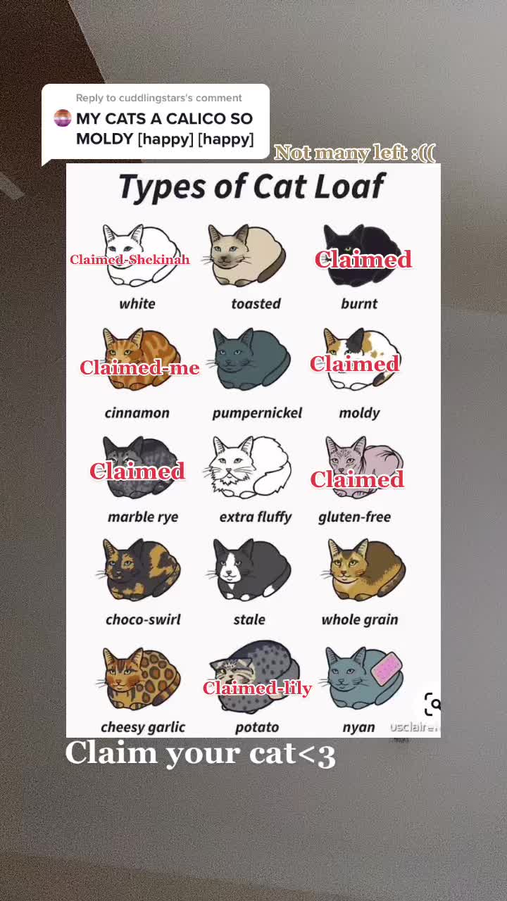 @๐๐๐ญ๐ข๐ โ