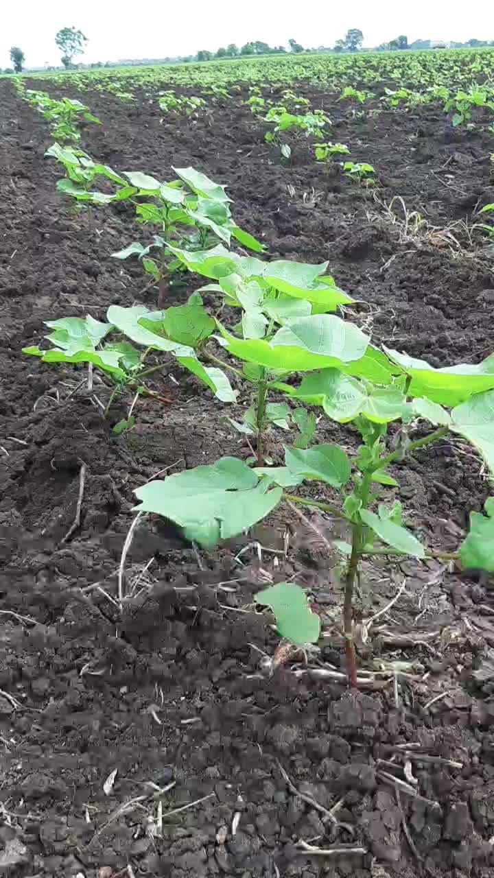 @शिवभक्त केतन गजाननराव निकम👑