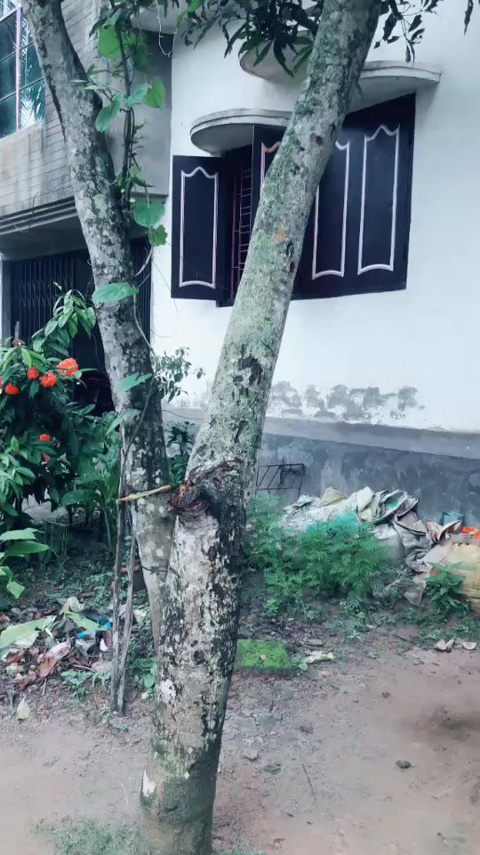 @Mintu Kar