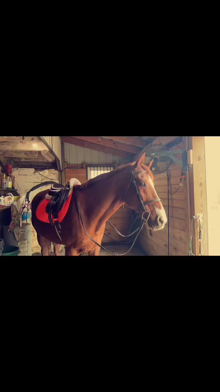 @kenzie_eq08