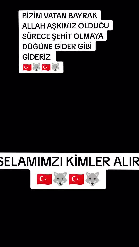 @🦅🇹🇷🐺 BOZKURT ASENA🐺🇹🇷🦅