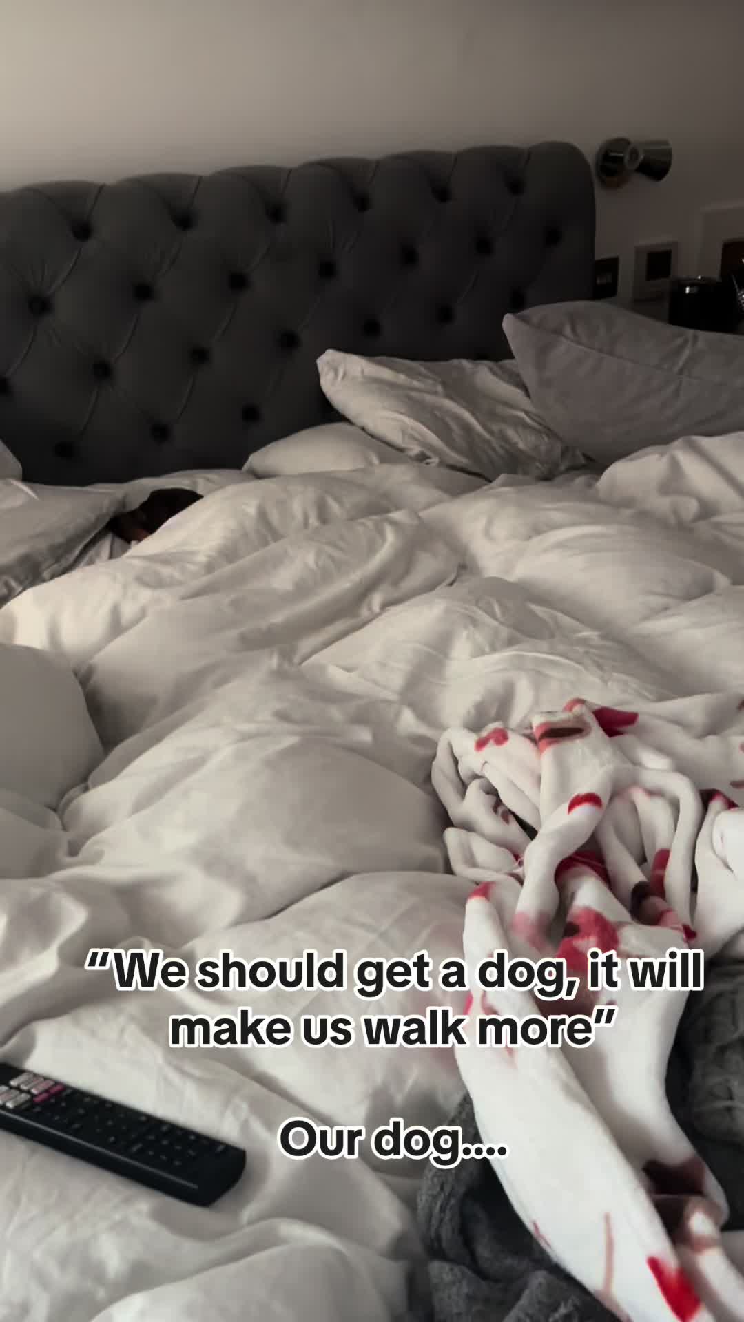 @sausagedogsisters