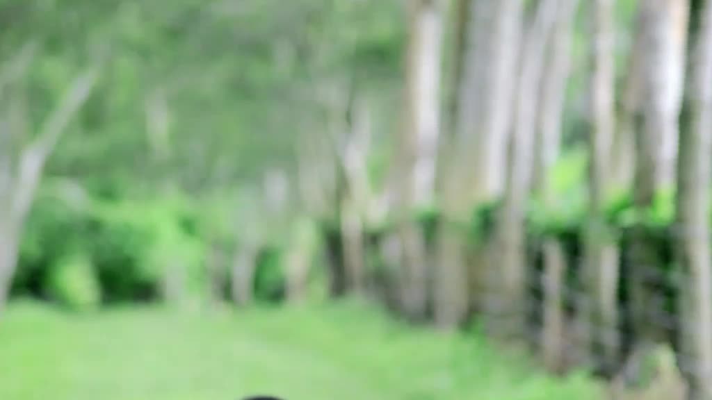 @Jitika Sonowal