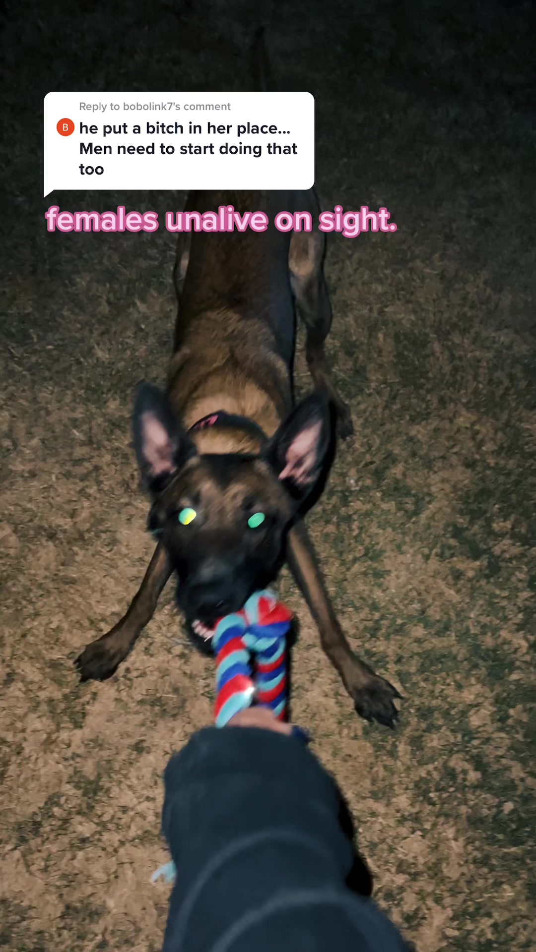 @ℌ𝔢𝔩𝔩𝔞 ℭ𝔞𝔫𝔦𝔫𝔢𝔰