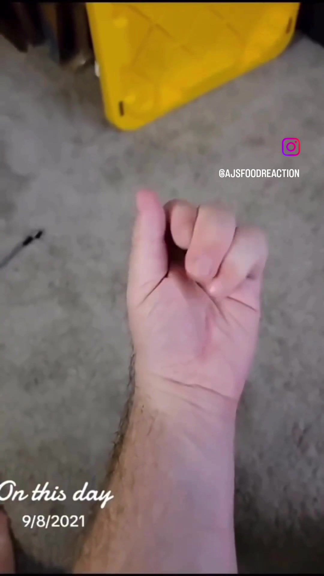 @DuckPowderToastGirl