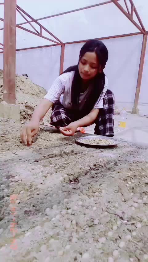 @kumaritamang6217