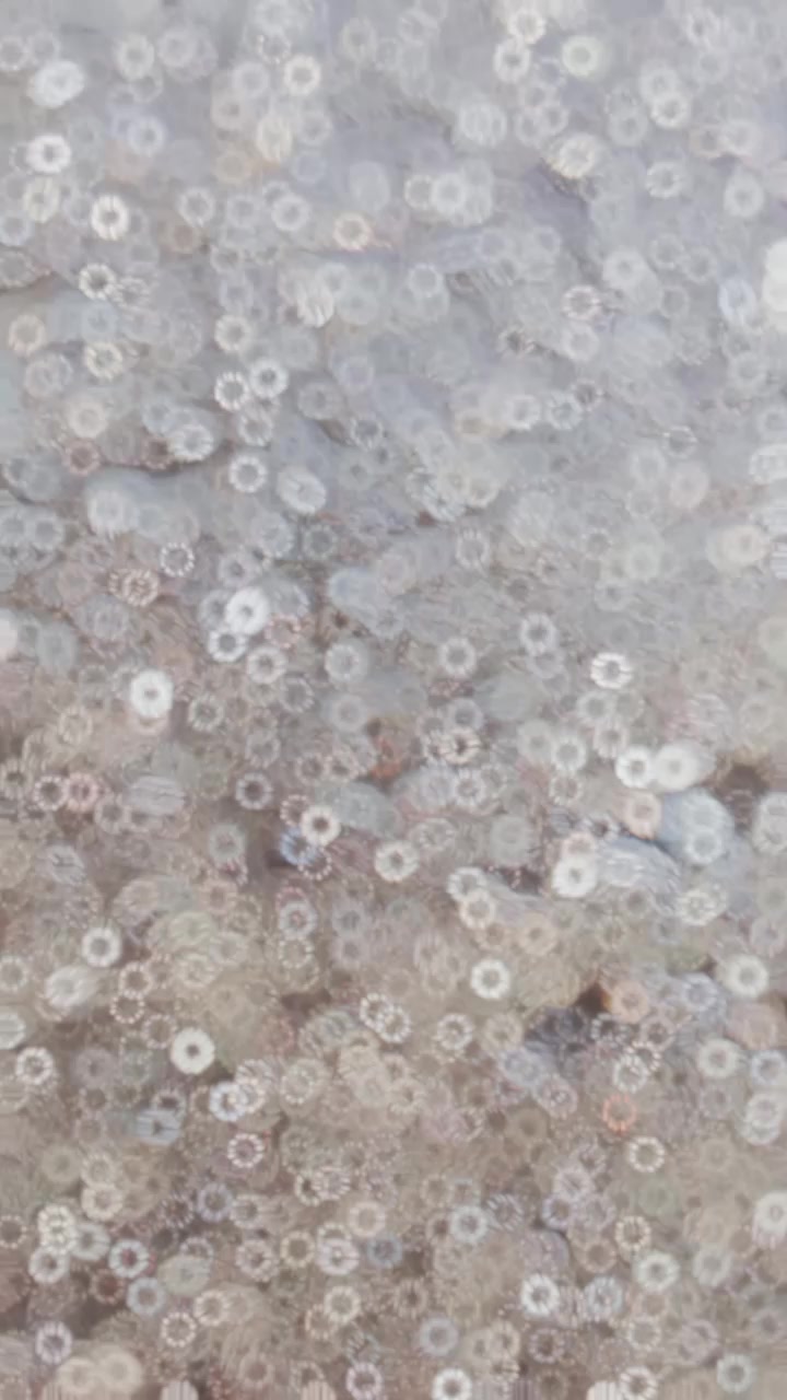 @𝙈𝙖𝙧𝙡𝙤𝙨𝙡𝙞𝙚