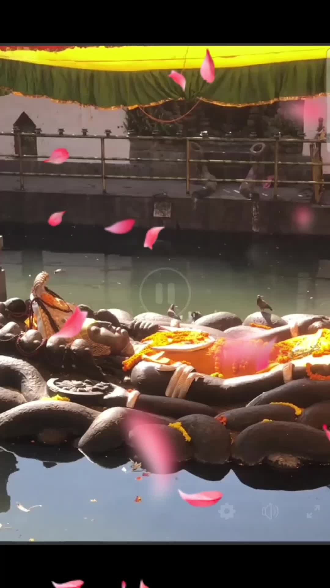 @🇳🇵 ओम श्रेष्ठ 2 🇳🇵