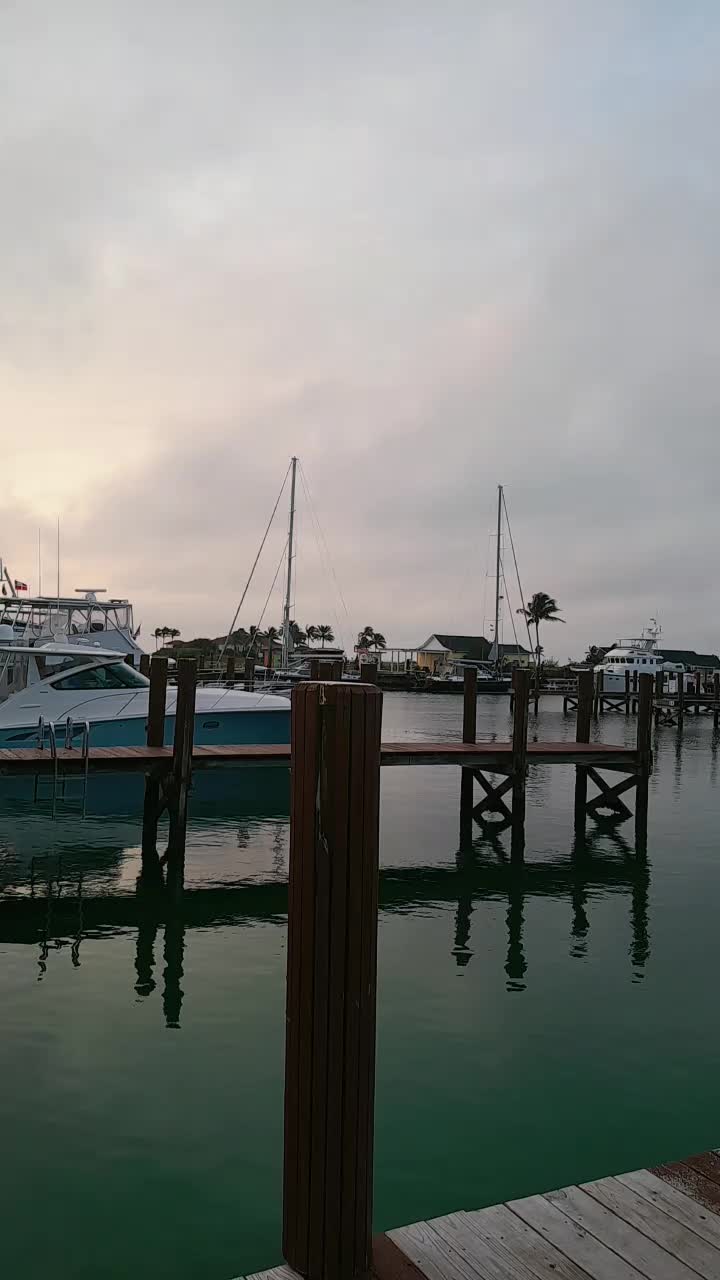 @BREADMAN2310 🇧🇸
