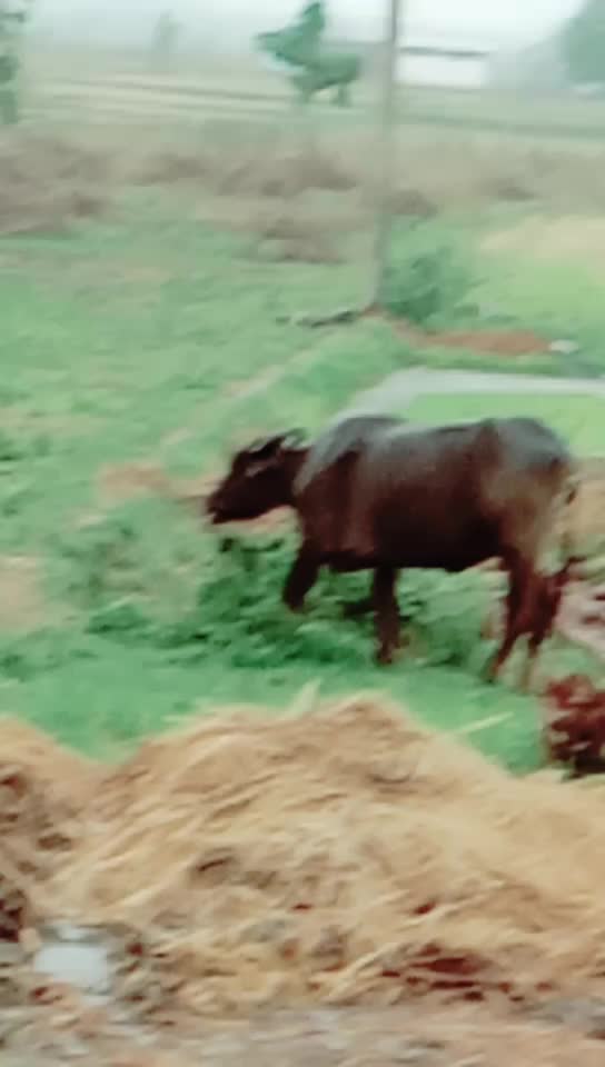 @Mahesh Yadav